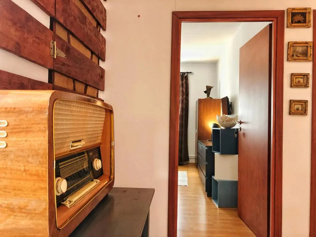 Casa cu Smochin | House with the fig