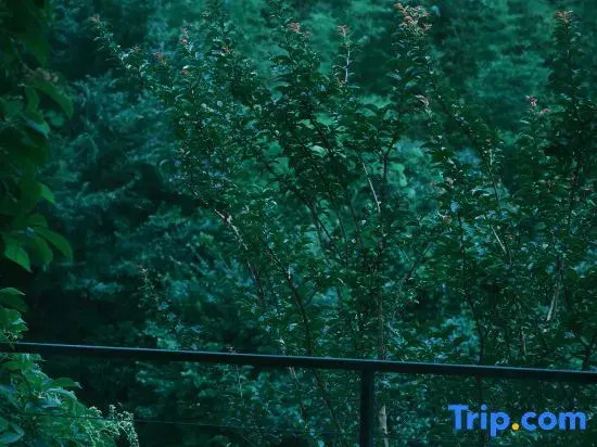 ZM Valley Resort·MoGan·China