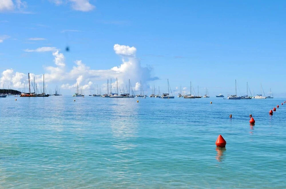 Studio In Sainte Anne With Wonderful City View And Furnished Terrace 310 M From The Beach