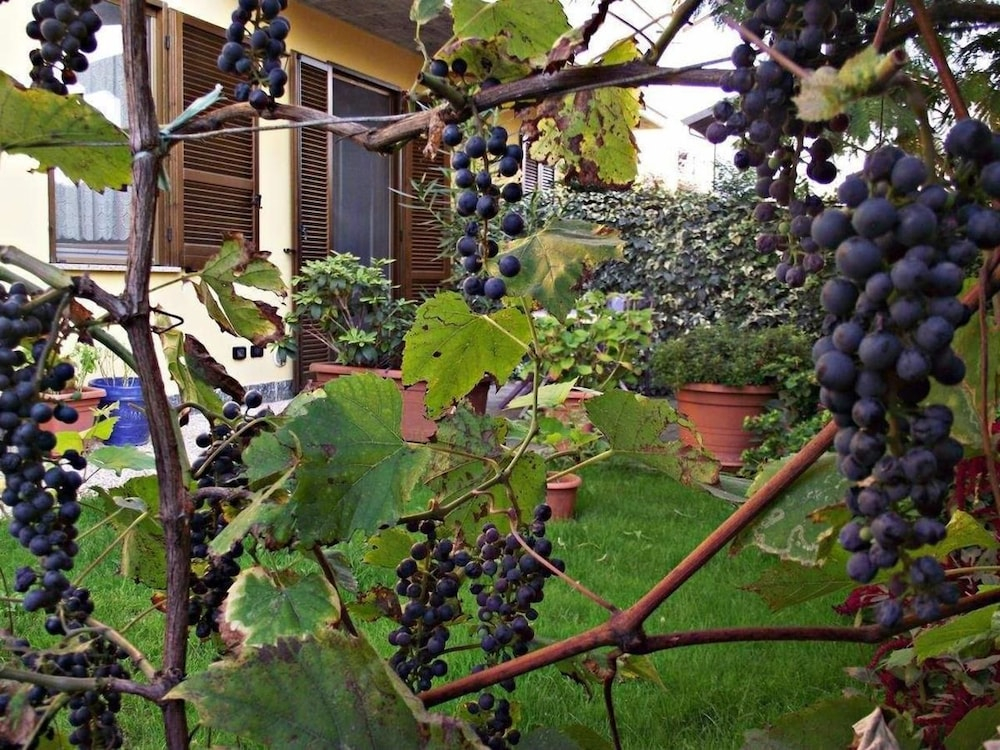 B&B Casacandi