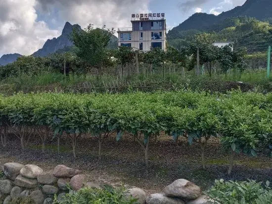 Mangshan Yihao Wanghong Homestay