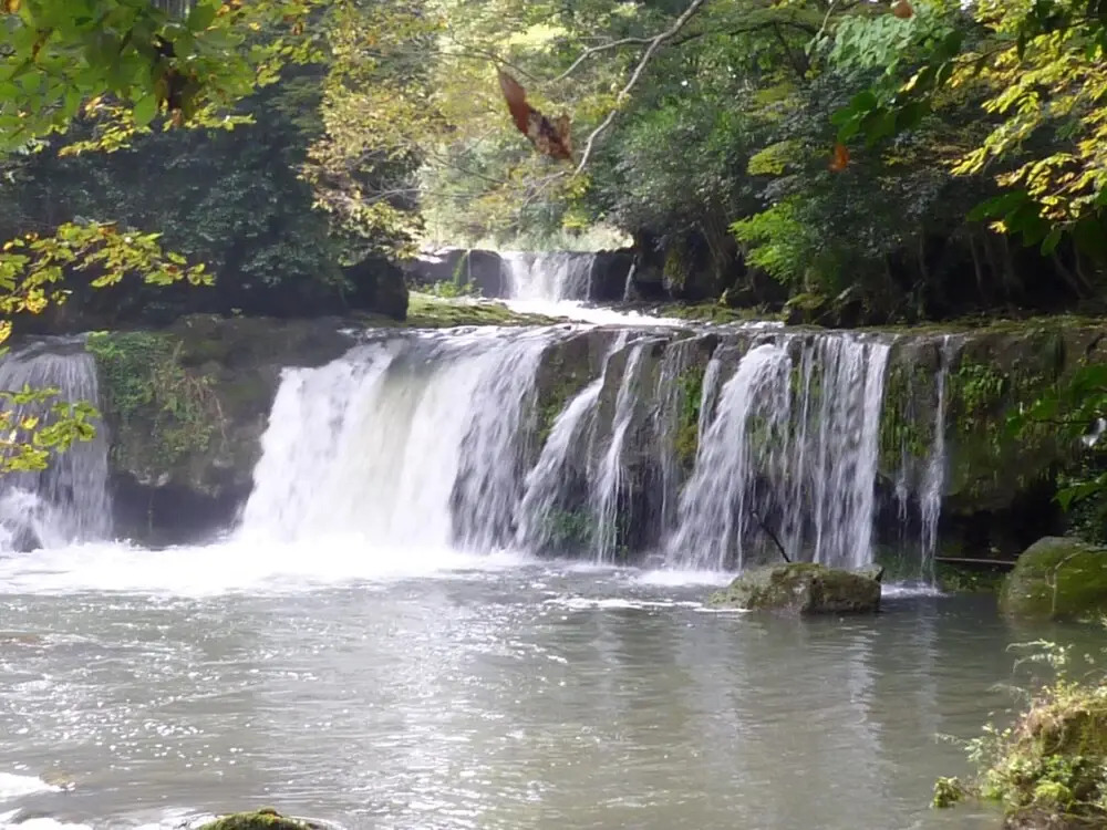 Nashikisou