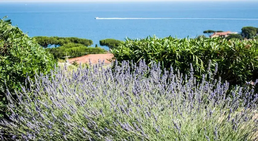 Un Letto A Gaeta
