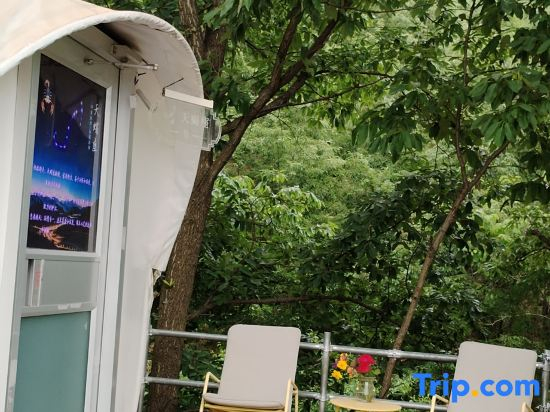 Song Wild Luxury Tent Homestay