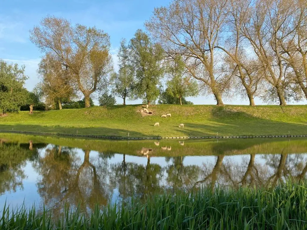 Kievitenlaan 1 'Nescio'