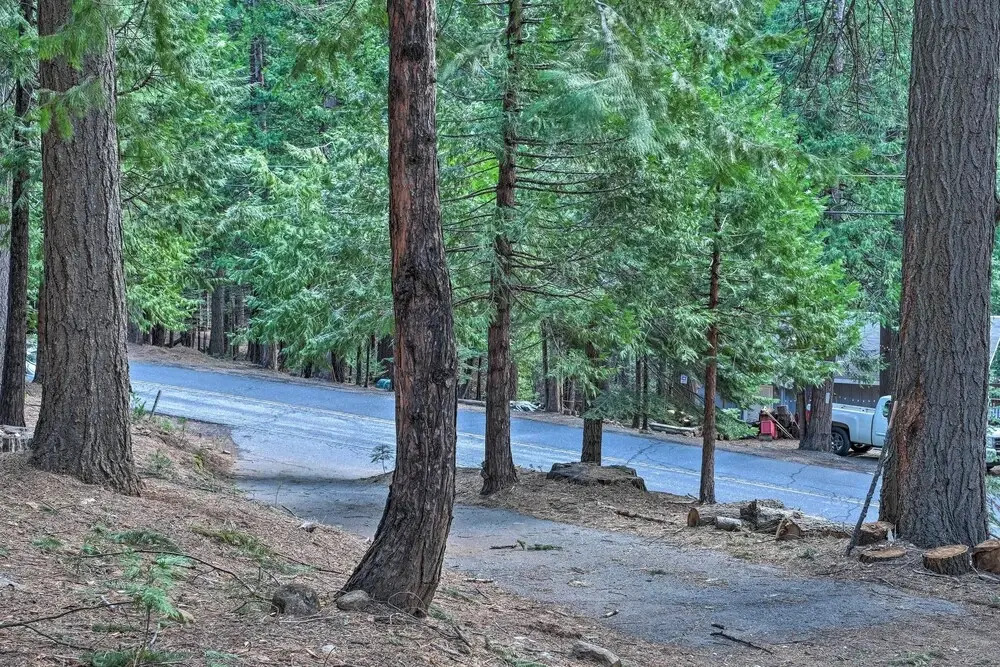 4 Mi to Big Tree State Park: Serene Cabin w/ Deck