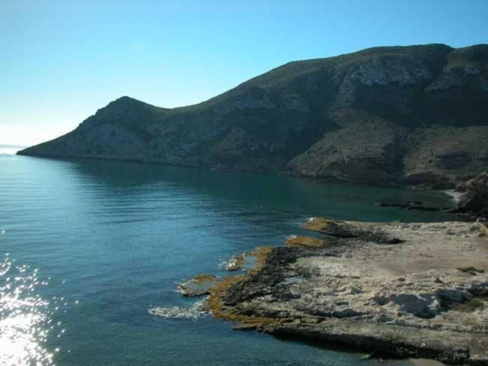 Villa Biznaga