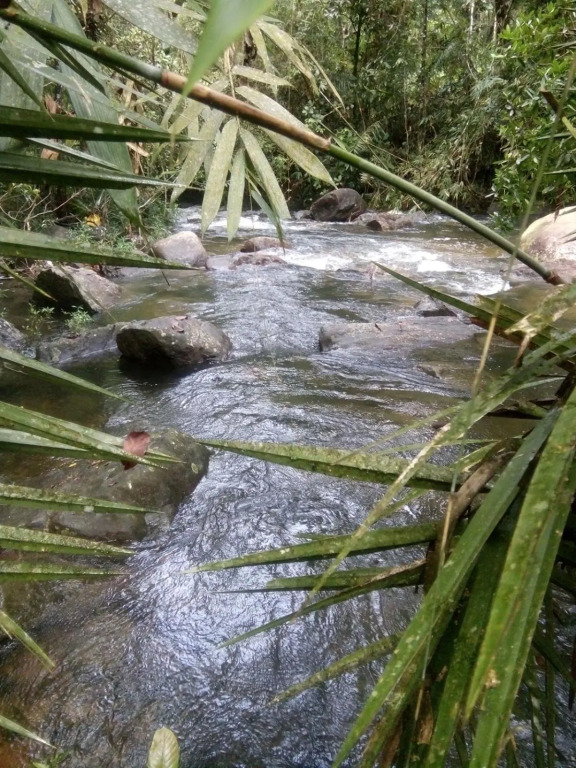Bentota Orchid House