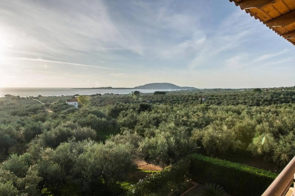 Seaview flat in an olive grove by the beach