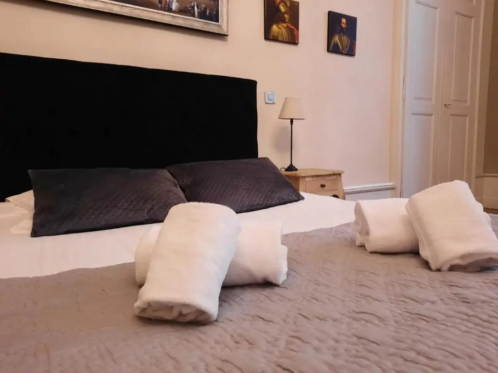 Les Suites de Sautet - Chambéry centre