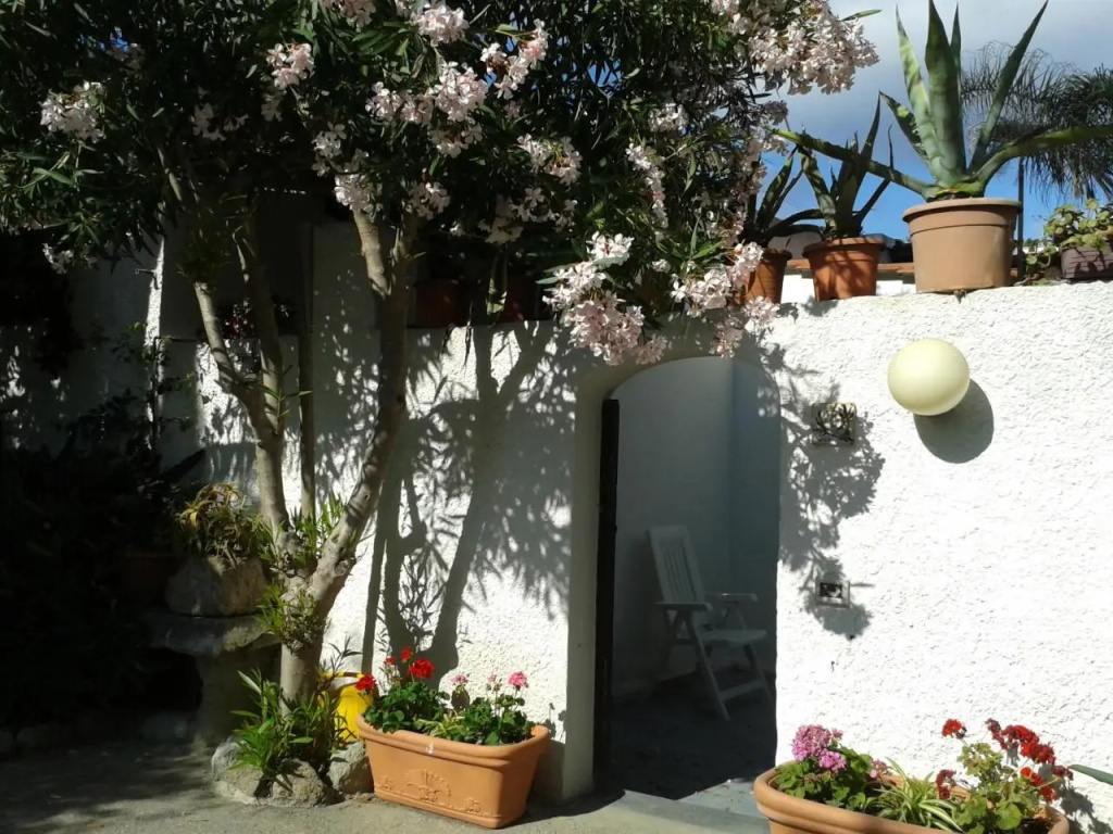 CASA Pitosforo CASA Ulivo