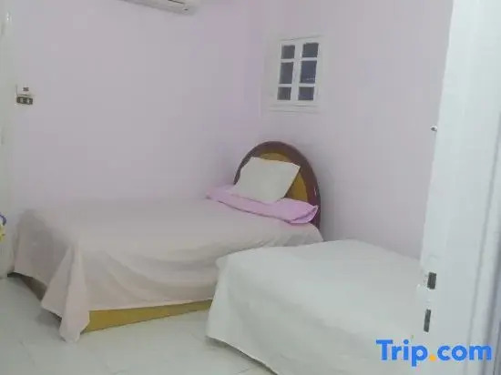 Loyality apartment