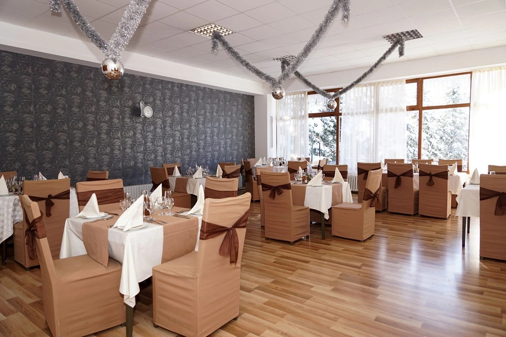 Hotel Bor