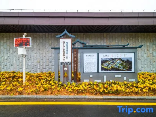 Yaowanggu Kangyang Hotel