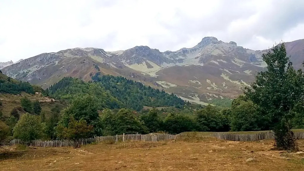 Misimalat