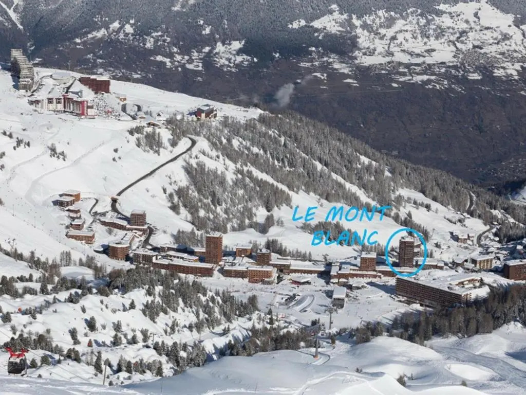 Appartement La Plagne, 3 pièces, 7 personnes - FR-1-455-3