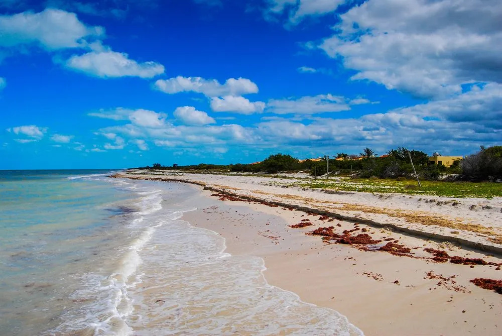Playa Maya Resorts