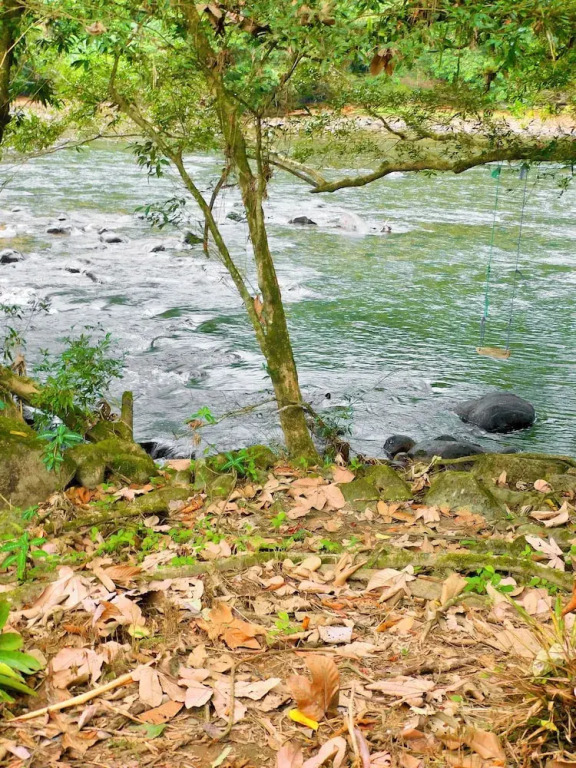 Puerto Quito Lodge - MonPar