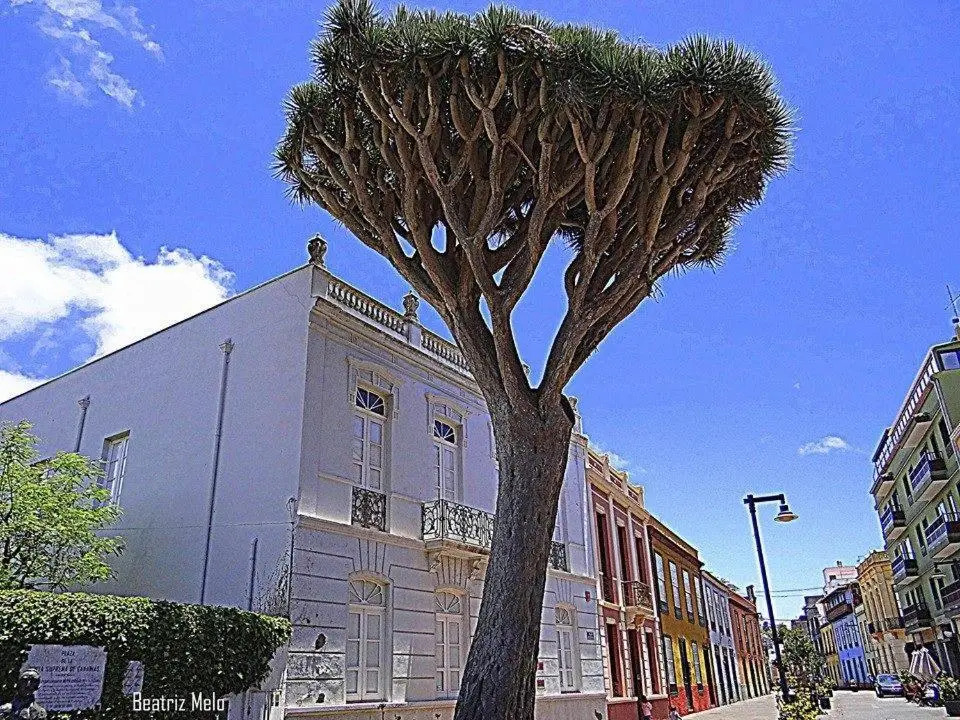Apartamento Belén