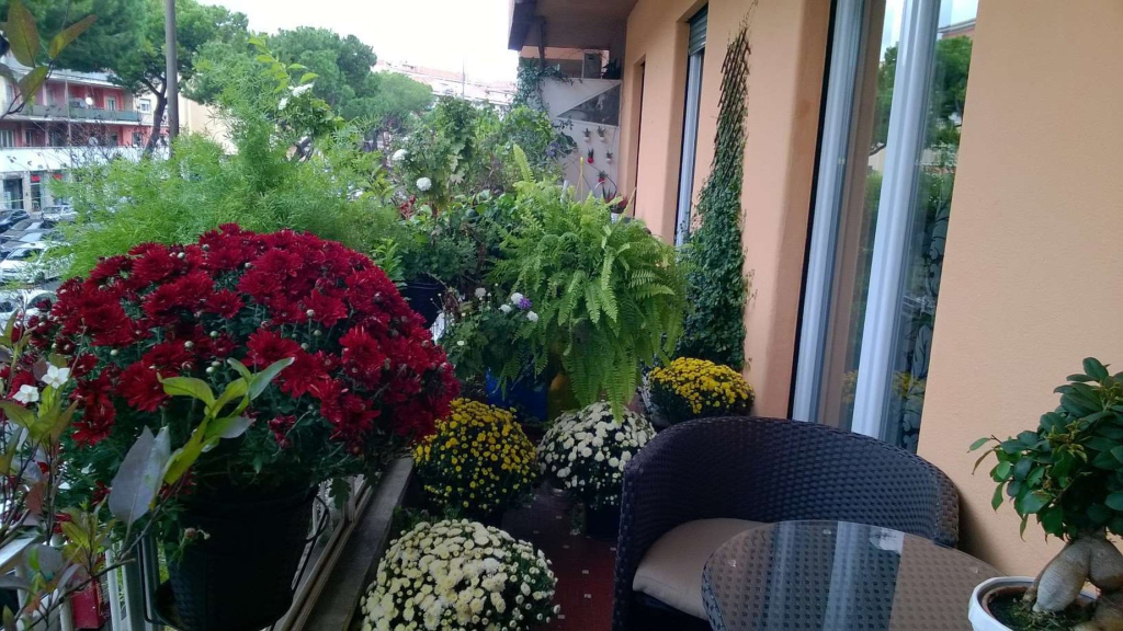 Gregorio VII Luxury Home Apartment
