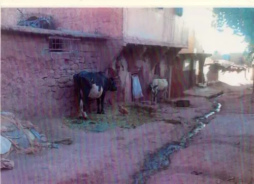 Gite Maroc Voyage