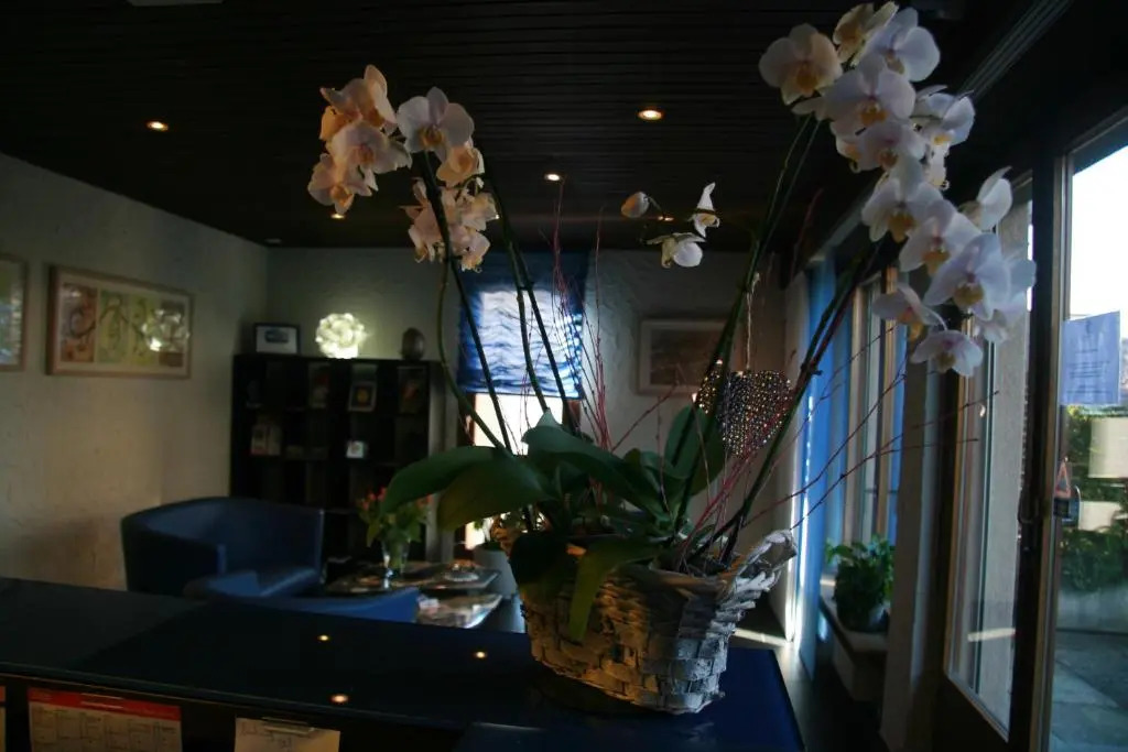 Hotel Eremitage