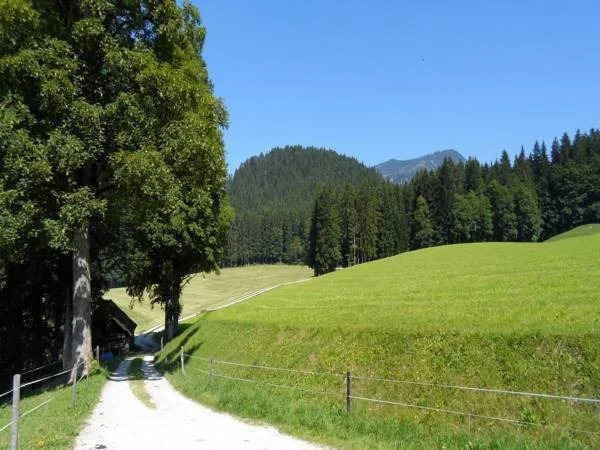 Reithartlhof