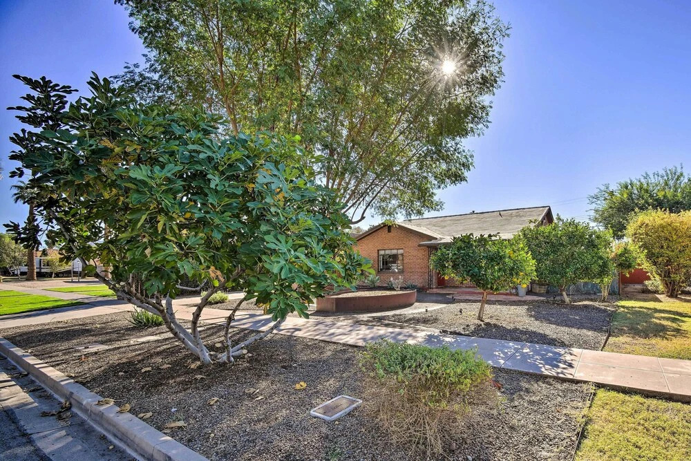 Sun-lit Phoenix Gem: Backyard Entertainment Patio!