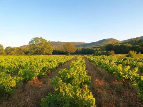 La Prévote