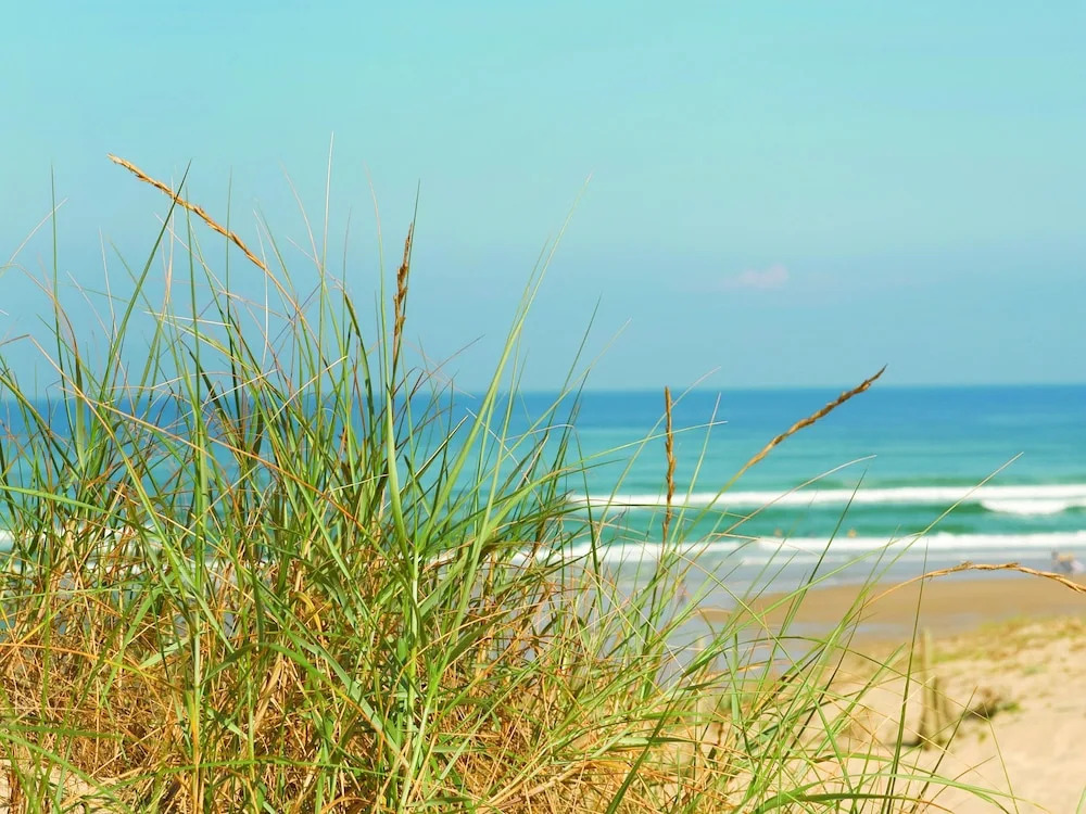 Comfortable Apartment With Wifi Located in the Dune Area