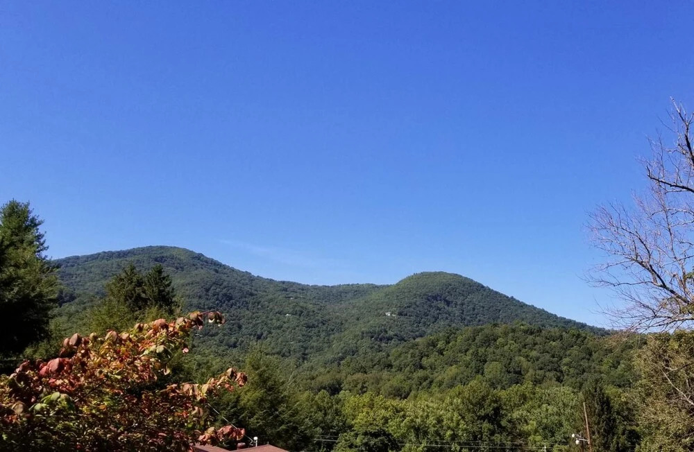 Tanglewood Motel and Log Cabins