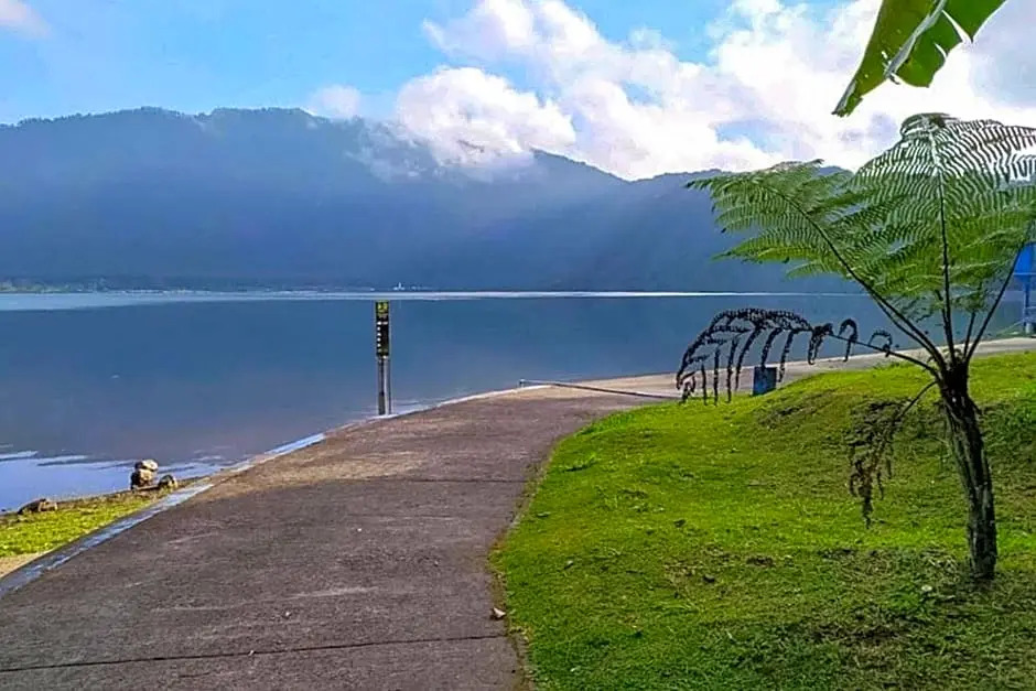 Tunjung Sari Villa Bedugul