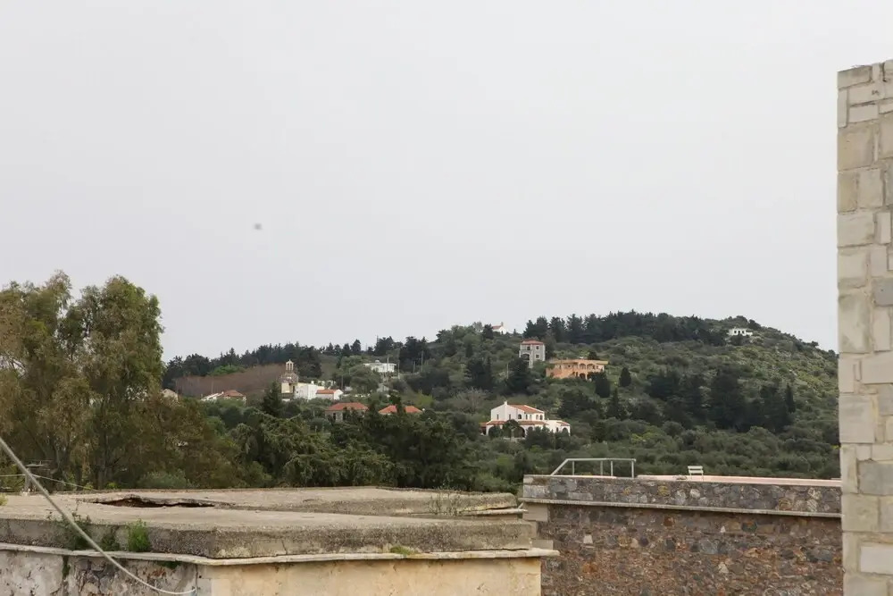 Local House