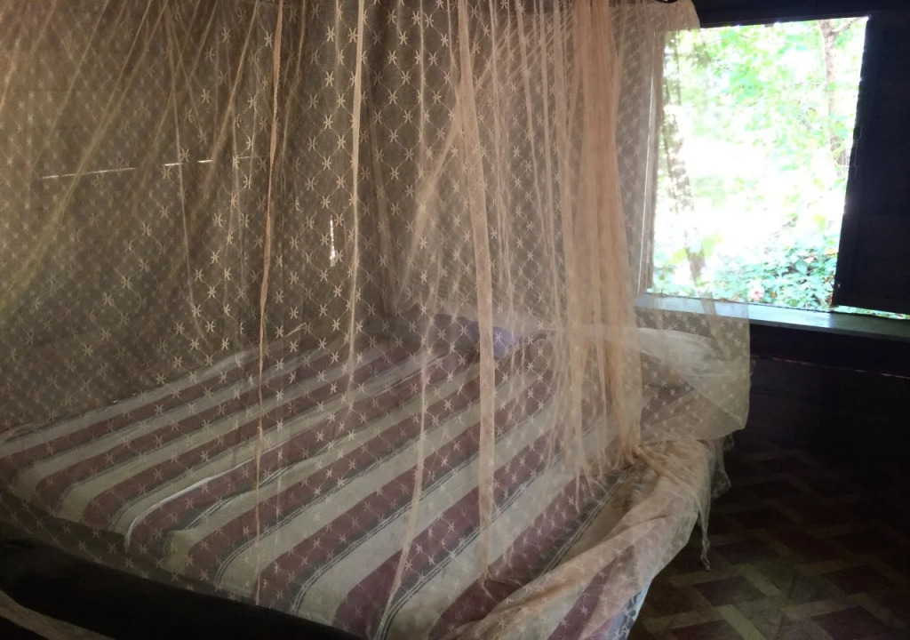 Beach Hut