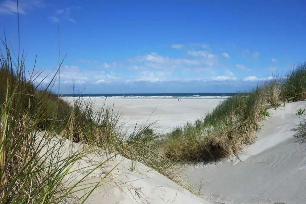 vakantiehuisje "De Blaauboer"