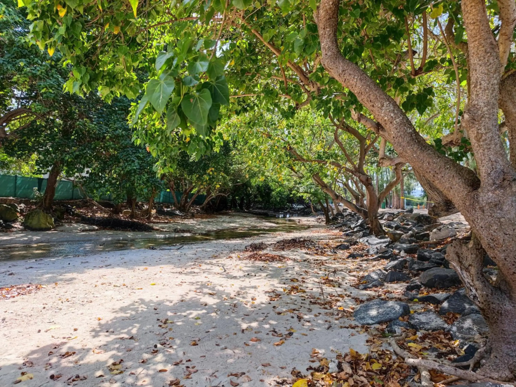 Villas Le Jasmin