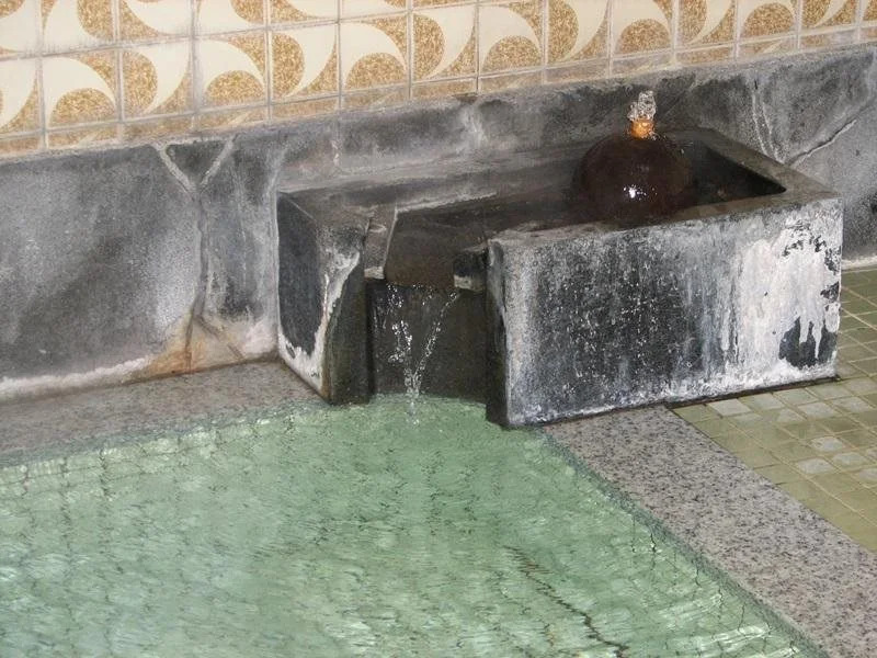 Sagaeya Ryokan