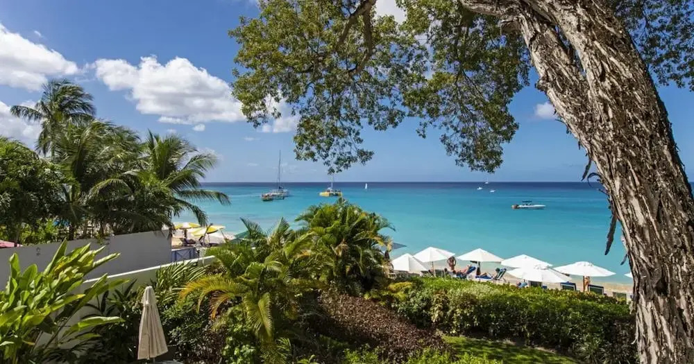 Coral Cove 4