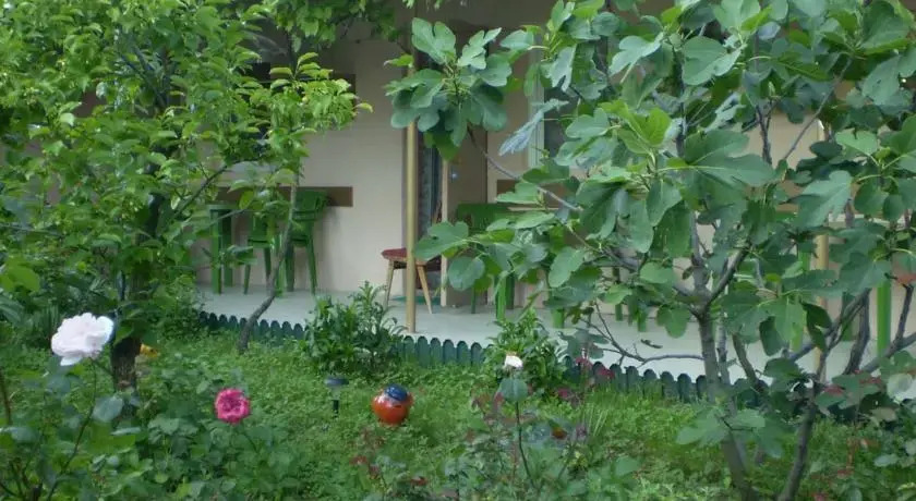 Romashkino Podvor'e