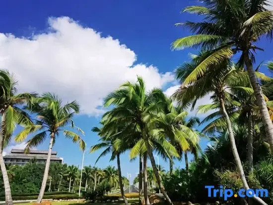 Shanyuhai Homestay (Wenchang Qishuiwan Branch)