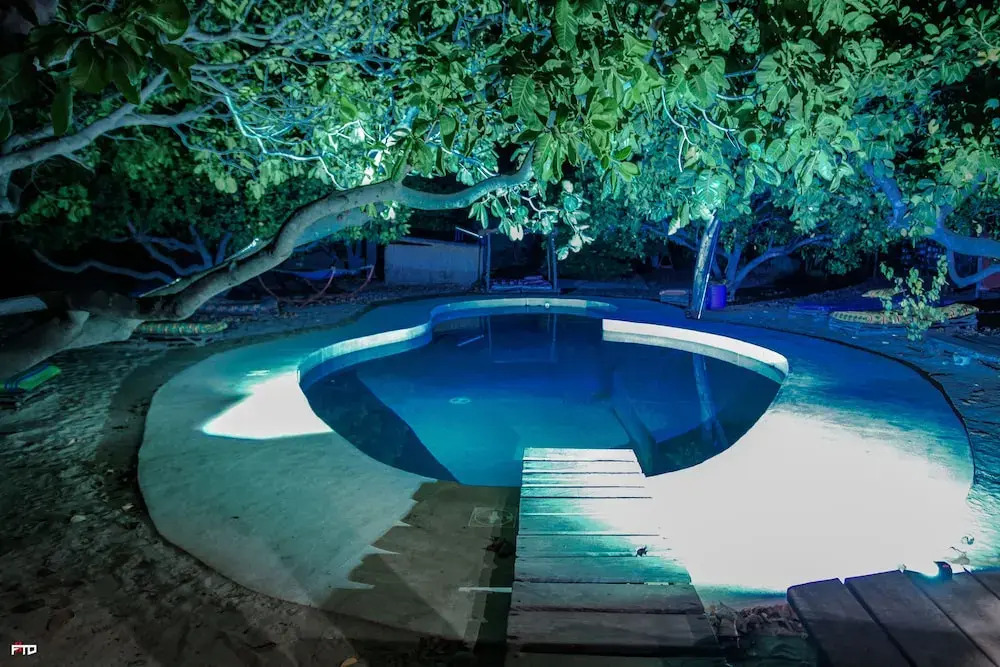 Bonobo Lodge