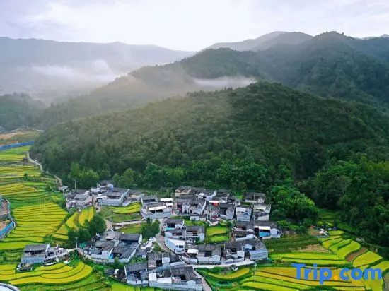 Tengchong Fusheng Suji · Hot Spring Apartment (Mayugu Store)