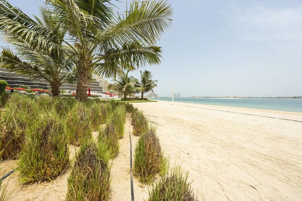Spacious beachfront 2 bedroom apartment