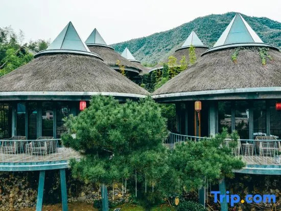Anji Midsummer Dream Wild Luxury Homestay