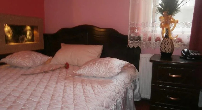 HOTEL VILA MITIC LUXX SPA centar