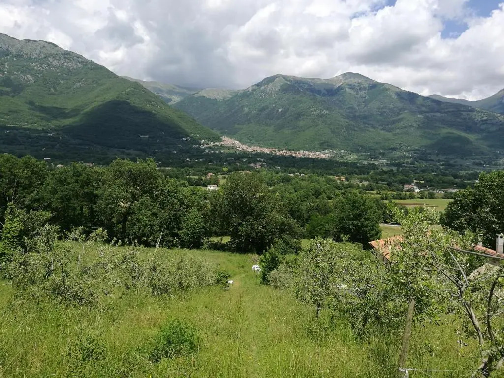 Tenuta Castelli