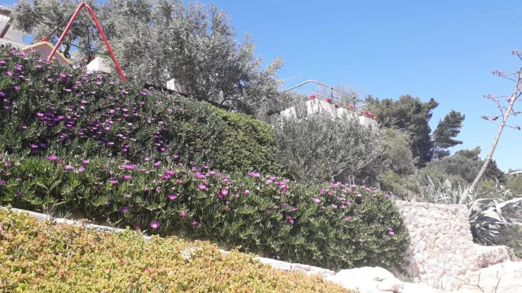 Villa Rosa