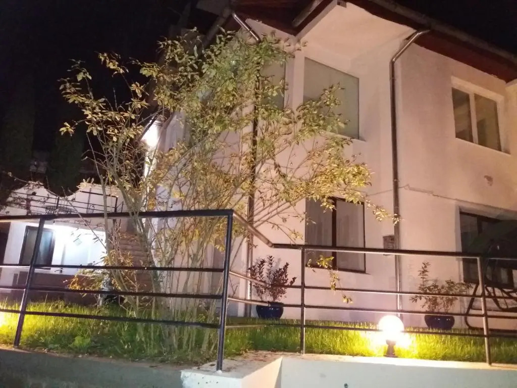 Spirii house