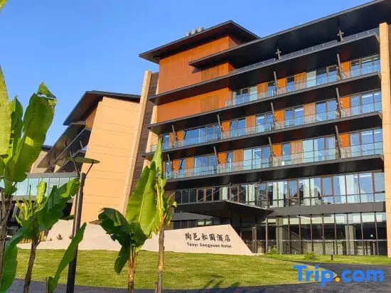 Taoyi Songyuan Hotel