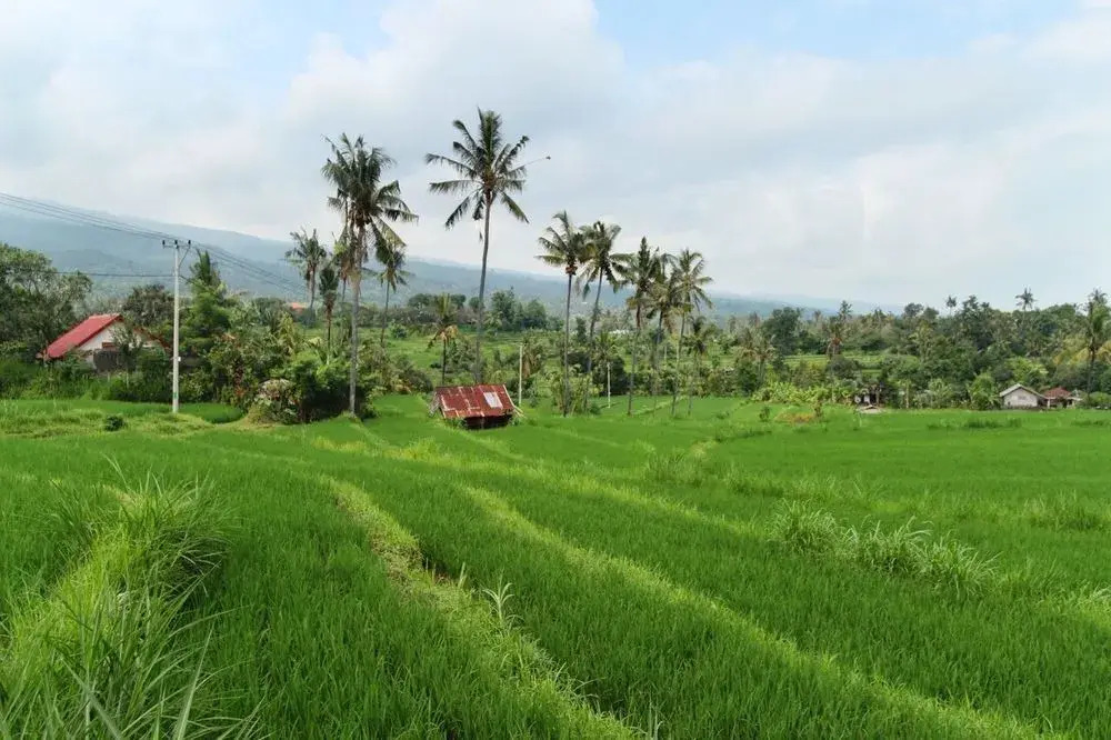 The Khana Sambangan